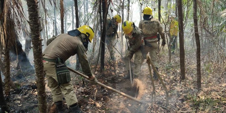 Em setembro, Corpo de Bombeiro combateu mais de 6,6 mil focos de incêndio no AM