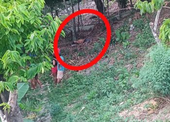 Jovem é encontrado morto com um tiro no bairro Colônia Terra Nova