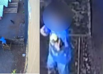 Vídeo: Crianç@ de 9 anos invade clínica veterinária e *squart$ja 23 animais