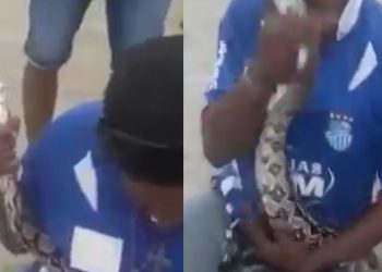 Vídeo: homem faz gracinha com cobra, toma um bote e quase perde nariz no Amazonas