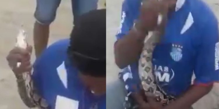 Vídeo: homem faz gracinha com cobra, toma um bote e quase perde nariz no Amazonas
