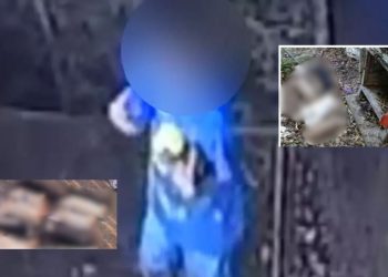 Criança que matou 23 animais em fazendinha não será punida, diz polícia