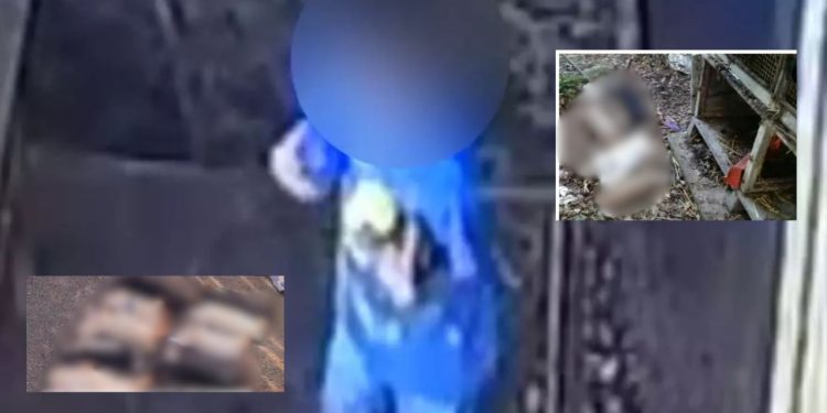 Criança que matou 23 animais em fazendinha não será punida, diz polícia