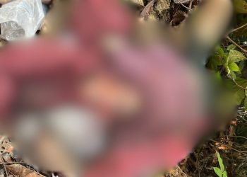 Com orelha cortada, homem é encontrado morto no Ramal Bons Amigos, na AM-010