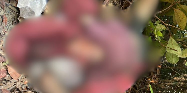 Com orelha cortada, homem é encontrado morto no Ramal Bons Amigos, na AM-010