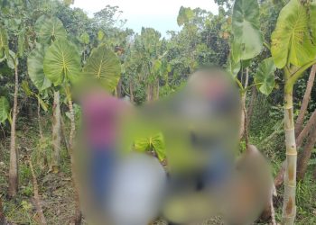 Emboscada: adolescentes esquartejam homem e enterram os pedaços em cova no AM