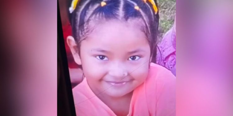 Bombeiros retomam buscas por menina de 6 anos que desapareceu após desbarrancamento em Manacapuru