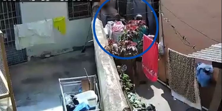 Vídeo: Pai é flagrado agredindo filho autista com vassoura no quintal de casa