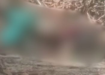 Vídeo mostra corpo que foi achado apodrecendo no meio do mato na AM-010