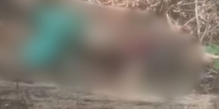 Vídeo mostra corpo que foi achado apodrecendo no meio do mato na AM-010