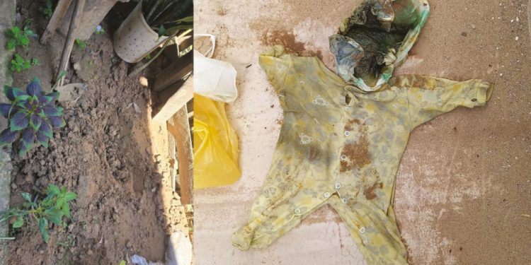 Mãe é presa após matar o filho recém-nascido afogado no interior do Amazonas