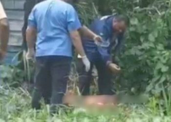 Com 20 facadas e esquartejado, corpo de homem é achado em área de mata no Adrianópolis