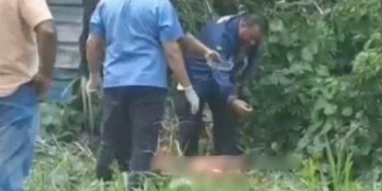 Com 20 facadas e esquartejado, corpo de homem é achado em área de mata no Adrianópolis