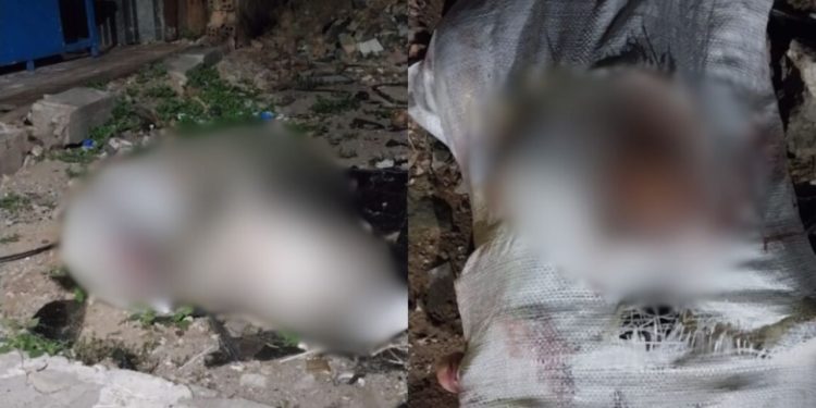 Veja como estava o jovem que foi esquartejado e colocado dentro de sacos em Manaus