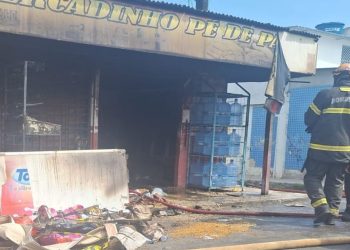 Cachorros morrem durante incêndio em mercadinho no São José