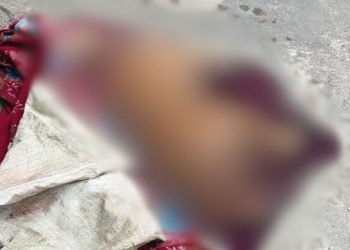 Briga entre casal termina com cachorro morto com tiro na cabeça em Manaus