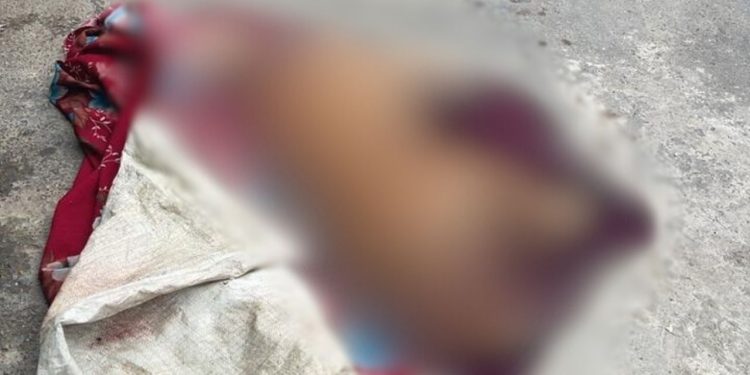 Briga entre casal termina com cachorro morto com tiro na cabeça em Manaus