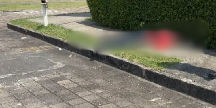 Assaltante leva tiro e morre ao tentar assaltar loja de carros na Djalma Batista