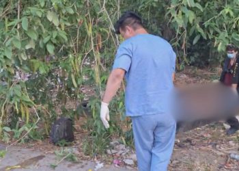 Corpo de homem é achado em área de mata na zona centro-oeste de Manaus