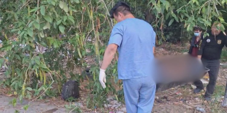 Corpo de homem é achado em área de mata na zona centro-oeste de Manaus