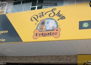 Pdex: Pet Shop Petgatoo