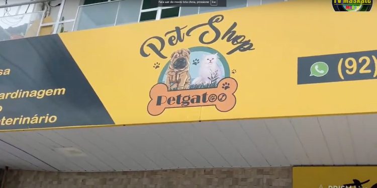 Pdex: Pet Shop Petgatoo