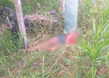 Vídeos: mulher colide moto em poste e fica gravemente ferida em Manicoré