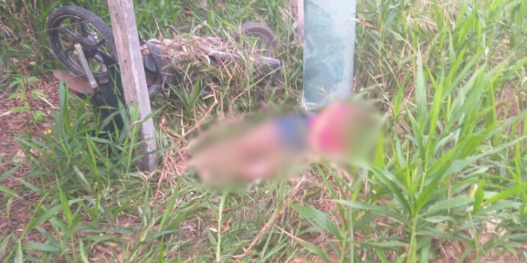 Vídeos: mulher colide moto em poste e fica gravemente ferida em Manicoré