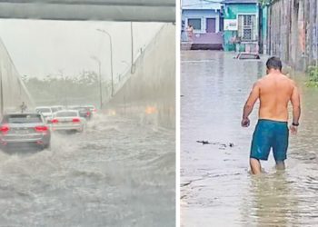 Manaus de Bubuia no temporal