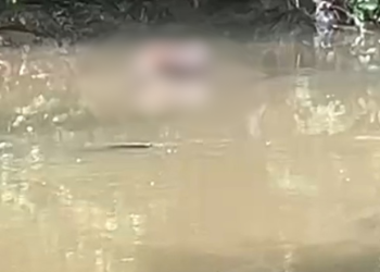 Trabalhadores encontram corpo de homem em igarapé no Parque do Mindú