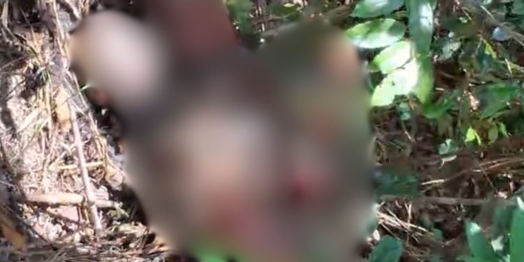 Moradores encontram corpo em decomposição em mata no Jorge Teixeira