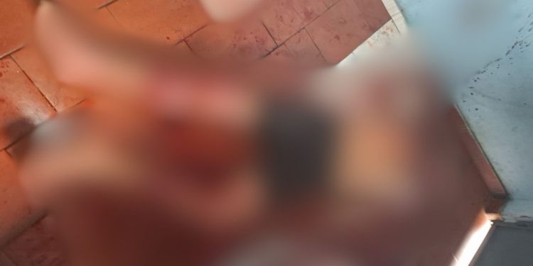 Homem é encontrado morto com 15 facadas pelo corpo em quitinete no Mutirão