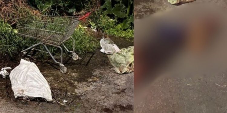 Degolado, homem é encontrado em carrinho de supermercado no Novo Aleixo