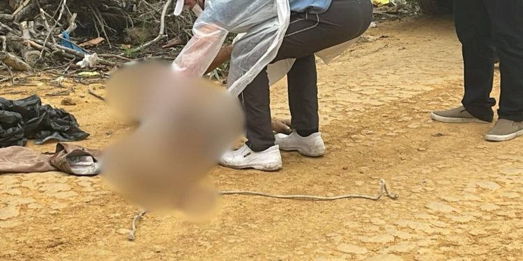 Homem morto a golpes de terçado é encontrado em ramal no Puraquequara