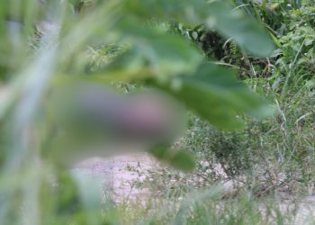 Populares encontram homem morto em área de mata no São José 2