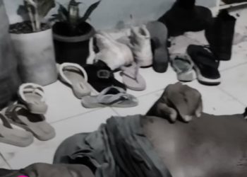 Idoso é mort0 a tiros após desentendimento sobre vaga de estacionamento