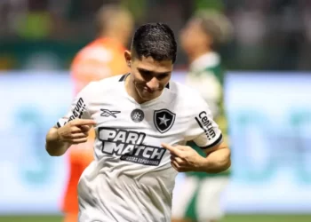 Botafogo vence Palmeiras e volta a liderança do Brasileirão