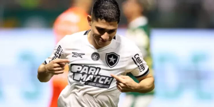 Botafogo vence Palmeiras e volta a liderança do Brasileirão