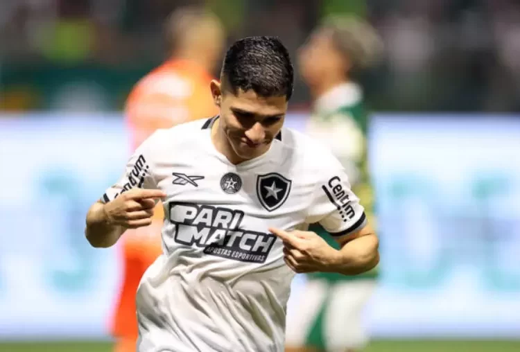 Botafogo vence Palmeiras e volta a liderança do Brasileirão