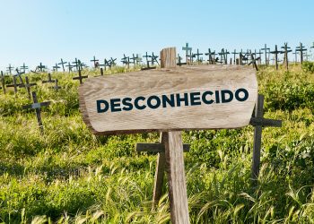 SEM LENÇO E SEM DOCUMENTO