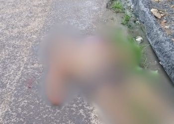 Com tiros na cabeça, homem é brutalmente assassinado a luz do dia no Mutirão