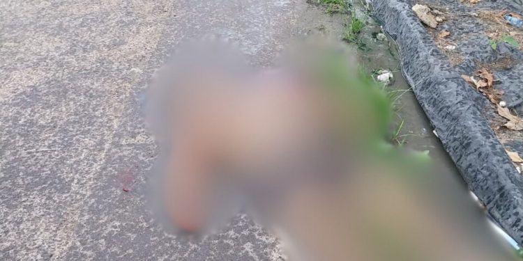 Com tiros na cabeça, homem é brutalmente assassinado a luz do dia no Mutirão