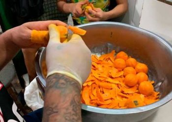 Começou a safra de tucumã e preços vão cair