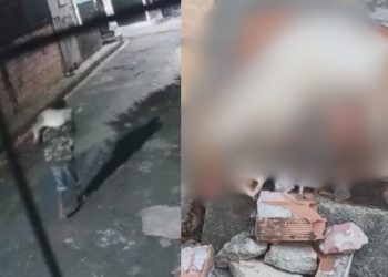 Vídeo bizarro mostra homem que cortou cabeça e patas de cachorro em Manaus