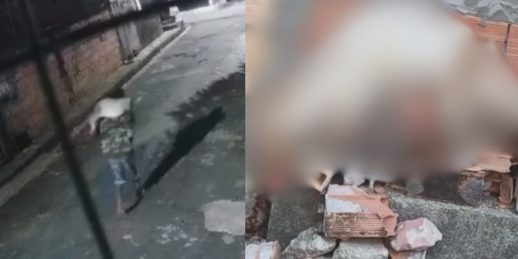 Vídeo bizarro mostra homem que cortou cabeça e patas de cachorro em Manaus