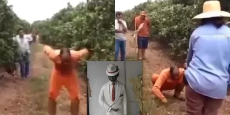 Vídeo: Trabalhador é possuído pelo Zé Pilintra após mexer em oferenda de macumba