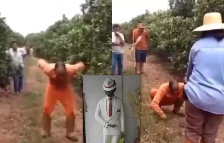 Vídeo: Trabalhador é possuído pelo Zé Pilintra após mexer em oferenda de macumba