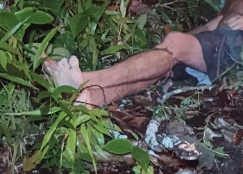 Cadáver com marcas de violência é encontrado no ramal da Praia Dourada