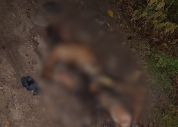 Com mãos e pés amarrados, corpo de homem é encontrado em chamas no Jorge Teixeira