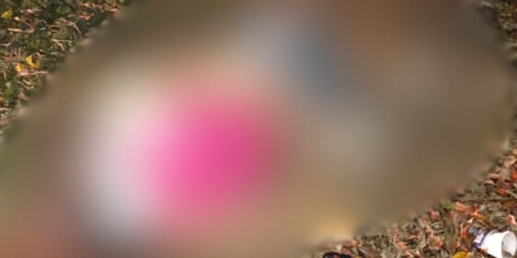 Com mãos e pés amarrados, mulher é morta com tiro na cabeça em Manaus